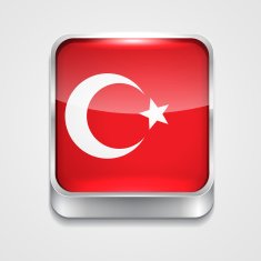 Flag of Turkey N13