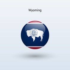 State of Wyoming Flag N2