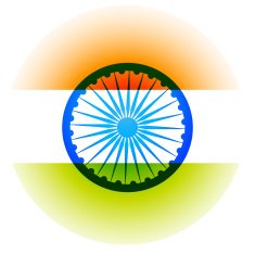 Indian Flag N19