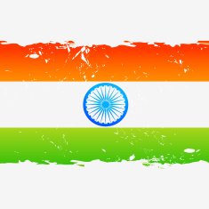 Indian Flag N20