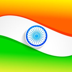 elegant indian flag