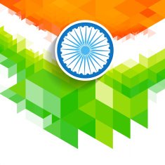 creative wave indian flag N2