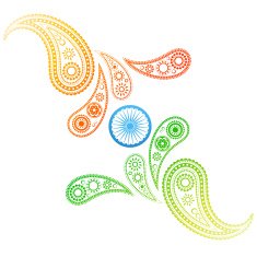 creative style indian flag N2