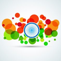 creative indian flag N13