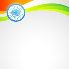 vector indian flag N14