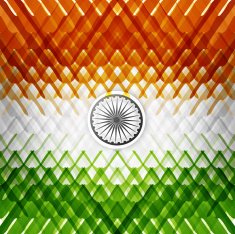The tricolor of the Indian national flag with colorful texture vector