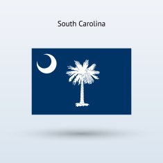 State of South Carolina Flag N3