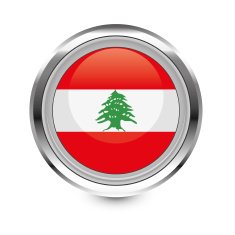 Lebanon flag icon N2