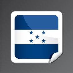 Honduras flag button N2