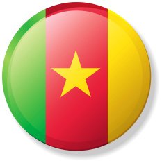 Cameroon Lapel Flag