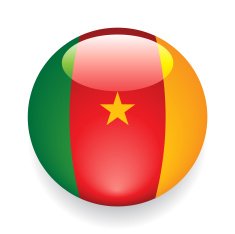 World Flag Button Cameroon
