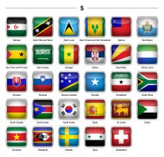 Flags icon - "S" N3