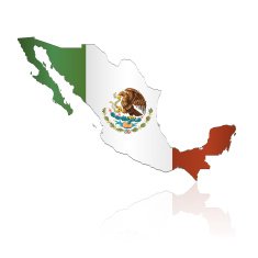 Mexico Flag Map N9