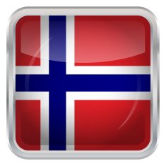 Glossy Button - Flag of Norway N3