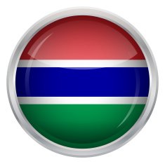 Glossy Button - Flag of Gambia N4