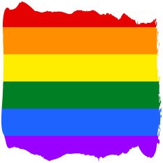 Gay and LGBT rainbow flag N3