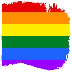 Gay and LGBT rainbow flag Textured N2