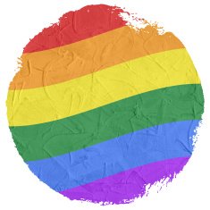 Gay and LGBT rainbow flag Handmade Textured N8