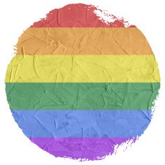 Gay and LGBT rainbow flag Handmade Textured N9