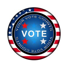 American Election Icon