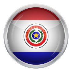 Glossy Button - Flag of Paraguay N4