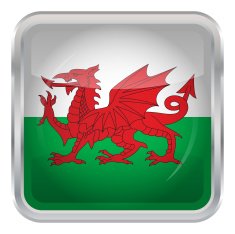 Glossy Button - Flag of Wales N3