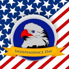 sticky design with bald eagle on national flag colors background