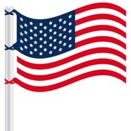 United States Flag N11