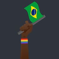 brazil flag &amp; Sexuality symbol illustration N2
