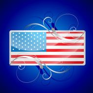 American Flag N161