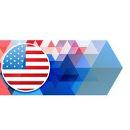 4th of july vector N2