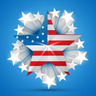 American Flag Vector N10