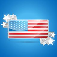 american flag label N2