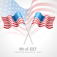 American Flag Vector N16
