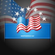 american flag label N5