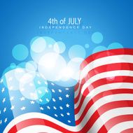 American Flag Vector N22