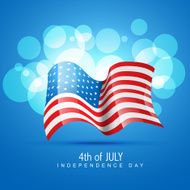 stylish american flag N2