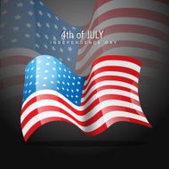 American Independence Day N21