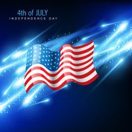 American Flag Vector N25
