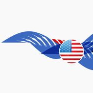 American flag design N8