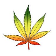 Cannabis leaf with rastafarian flag colors horizontal