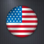 Vector american badge flag
