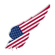 Wing with american flag on white background Vector illustration