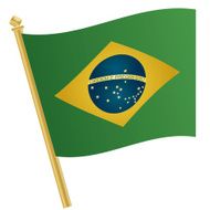 Brazil Flag N39