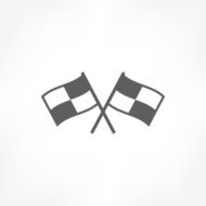 Racing Flag Icon N13