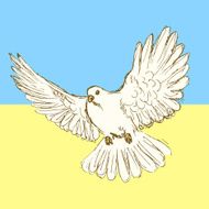 Sketch peace dove for Ukrainian war