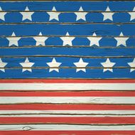 USA symbol