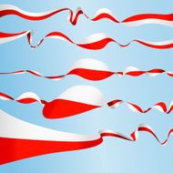 Polish Banners