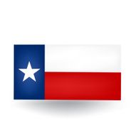 Texas State Flag N16