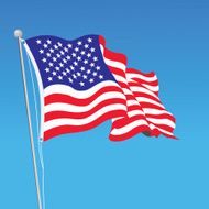 Flag of the United States vector
